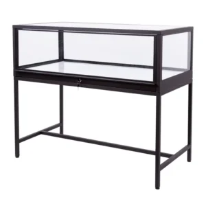 Matte Black Glass Display Cabinet